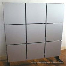 Paneles de aluminio hechos a la medida del panal para el revestimiento de la pared